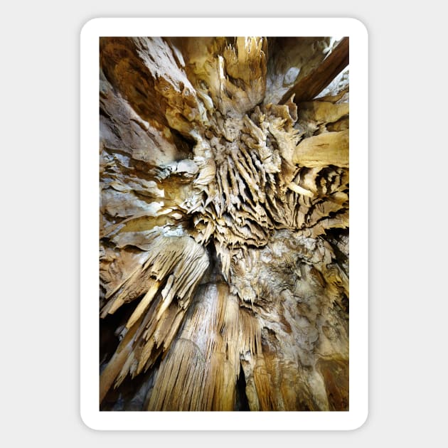 Closeup of stalactites and stalagmites Sticker by naturalis